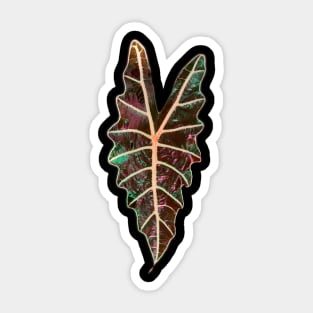 Alocasia Polly Sticker